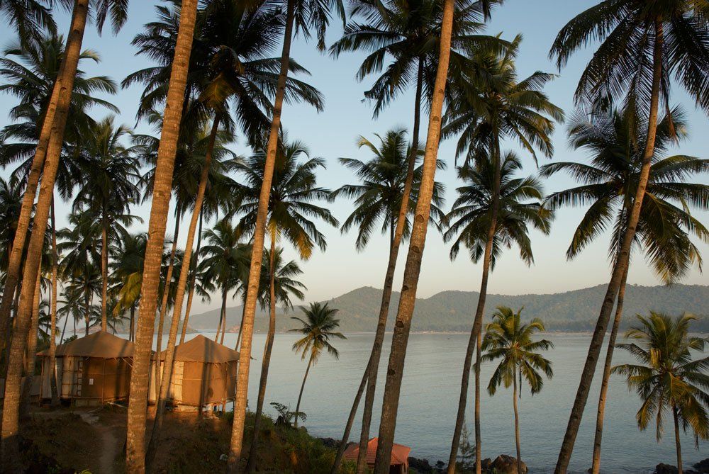 India, Goa, huts and palm trees at Palolem Beach