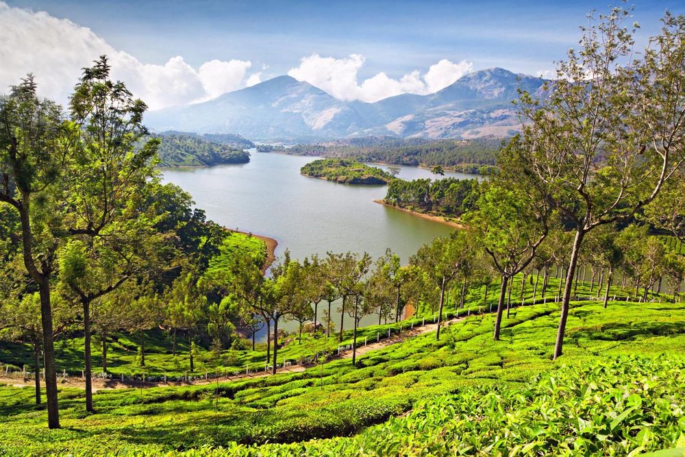 Munnar landscape in Kerala, India © Shutterstock