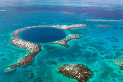 Coral reef deep cave Blue Hole, Belize © Tami Freed/Shutterstock